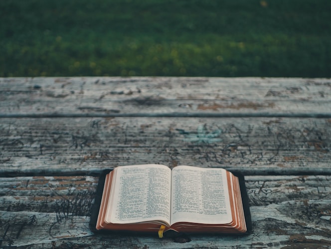 Women’s Bible Study
