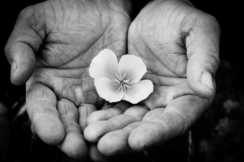 Gentleness:  Strength Under Control