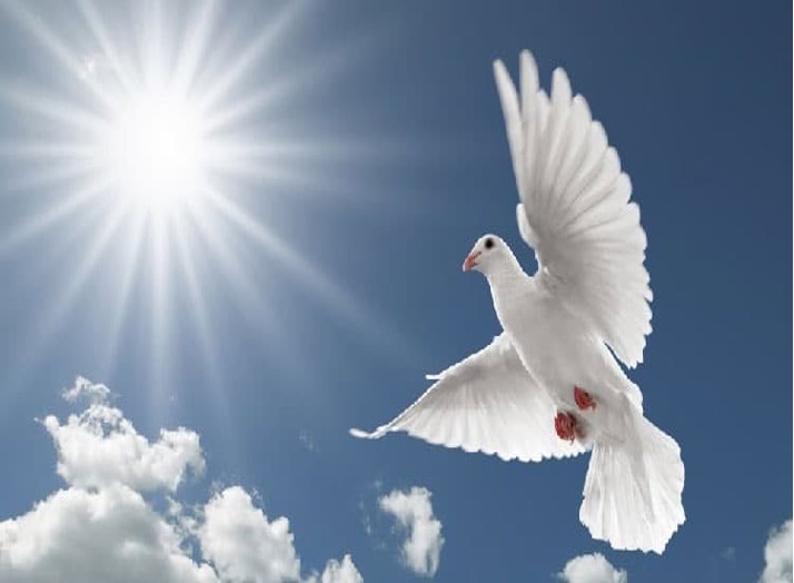 Peace That Passes