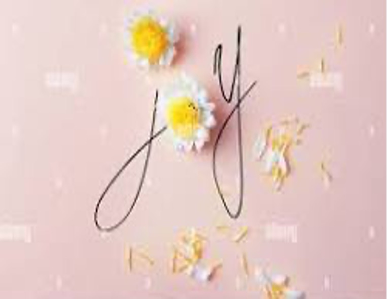 Joy: Strength for the Journey